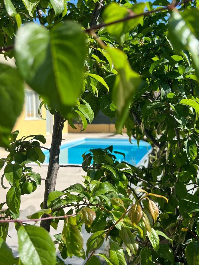 קאפוטרה Casa Vacanze Mare Fuori מראה חיצוני תמונה